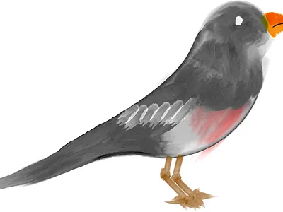 watercolor illustration of bird birdillustration digitalpainting illustration painting watercolor watercolorillustration