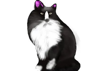 watercolor cat illustration digitalpainting graphic design illustration vector watercolor