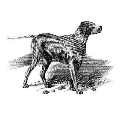 Pointer engrave engraving illustration ink lineart woodcut