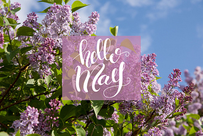 Hello May 2022 in Moldova! branding chisinau creative cromatix cromatix creative image lab cromatixlab design illustration logo moldova