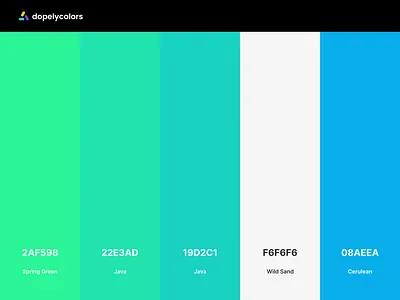 Daily Color Palette app branding color color palette color scheme colorful colorpalette colors colour design gradient graphic design icon illustraion illustration logo typography ui ux vector