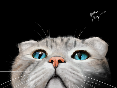 CAT animal cat illustration impasto practice photoshops