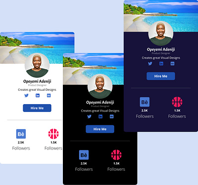 Profile Card: Light, Dark, and Dim Theme branding design ui