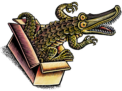 "Strange Gifts" for the New York Daily News alligator animal art animal illustration editorial illustration florida gator humor humorous illustration lisa haney magazine illustration newspaper illustration reptile scratchboard