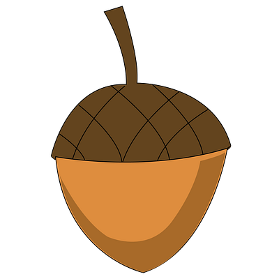 nut illustration design graphic design illustration vector