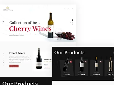 Inclusive Design Methodlogy Concept @1st design ui ui ux ui ux user uiux website website concept
