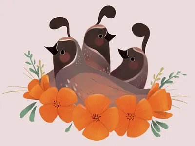 State Postcards - California Quail and Poppies design illustration