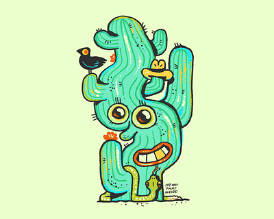 Cactus Weirdo cactus cartoons character design concept art desert illustration illustration