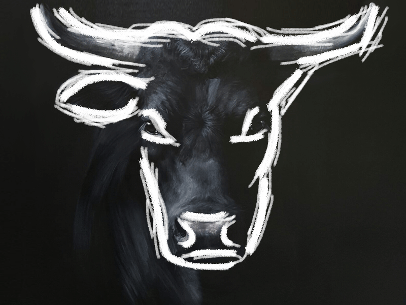 Bull Animated GIF animated animation brand bull creative design favicon gif gif animation identity illustration logo logo gif logotype minimalist