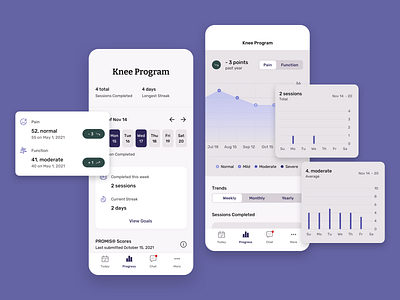 Progress view for a home exercise plan app design data visualization exercises goals health app mobile design physical therapy progress trends ui ux visual design workout plan