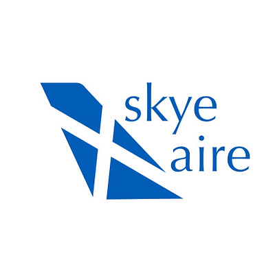 Skye Aire branding daily dailylogochallenge design graphic design illustration logo