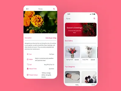 Flora case study design figma flower portfolio ui ui design user experience ux ux design