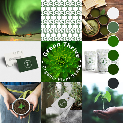 Branding brand brandidentity branding design designer graphic design green inspiration inspo logo logos plant vector