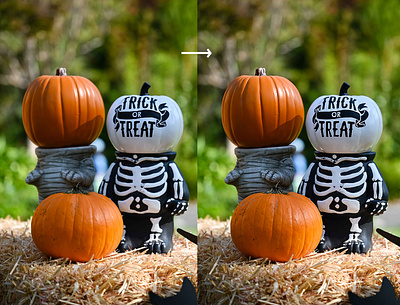 Fixing Focus Blur blur blured image fix fixing focus blur image photography