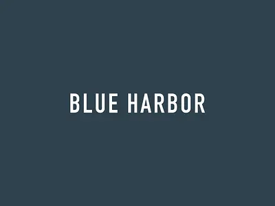 Blue Harbor Trading Co. aquatic blueharbor branding design graphic design illustration logo typography