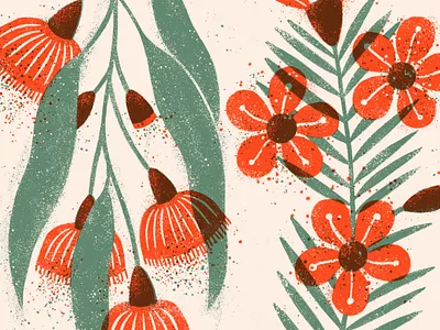 Australian Natives australian flora australian flowers floral illustration flower illustration graphic design illustration photoshop brush red green illustration screen print two colour design