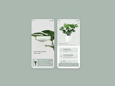 Mobile app for taking care of houseplants design mobile ui web design