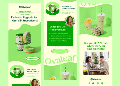 Email Design - Ovaleaf brand identity branding cafe email design emailer graphic design illustration logo logo design