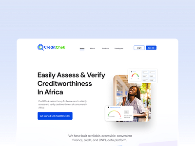 Website Hero Section - CreditChek fintech website hero section landing page simple landing page design website hero section