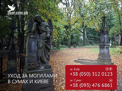 baer.com.ua branding graphic design