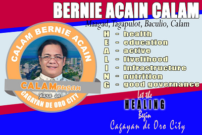 Counciler Bernie Campaign Ads