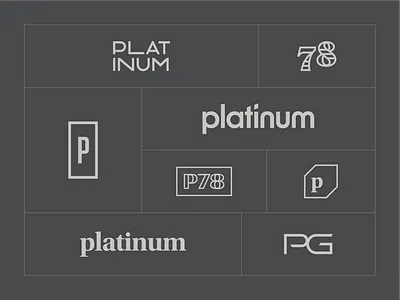 Platinum Group Ideas 78 brand brand design branding classy fancy high class logo logo design logo designer modern plat platinum platinum 78 tasteful upscale