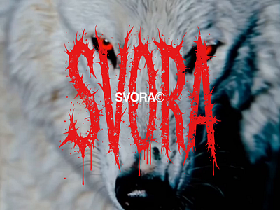 SVORA Visual Identity Of Private Underground Parties animation branding graphic design logo party private event svora visual identity white wolf