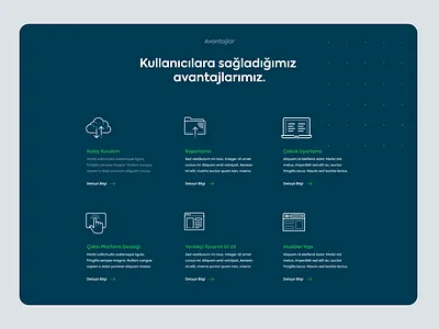 Datasoft Global About Us about us branding clean finance interaction layout minimal module ui ux web webdesign