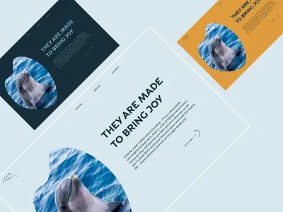 Concept They are made to bring joy colors concept design dolphins ui ux uxui design web design website