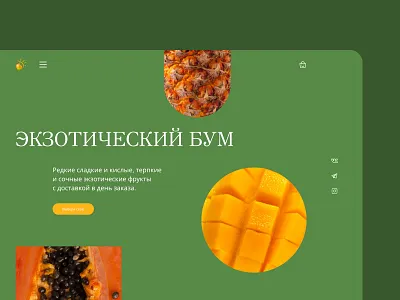 Сoncept "Exotic Boom" bright composition concept exotic fruits fruits juicy ui ux uxui design web design website