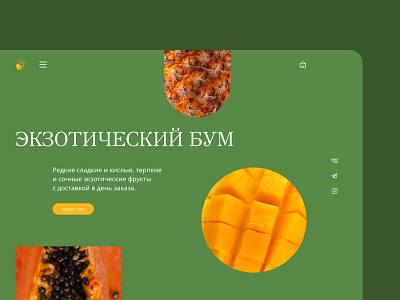 Сoncept "Exotic Boom" bright composition concept exotic fruits fruits juicy ui ux uxui design web design website