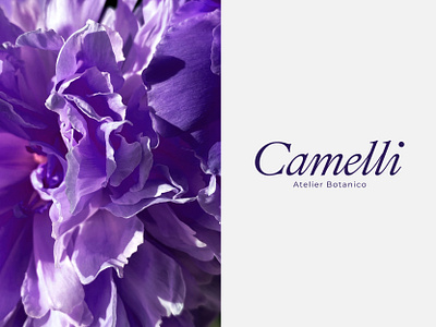 Camelli. Logo design | Brand identity branding design designer floral logo graphic design logo logo design logotype брендинг графический дизайн лого логотип