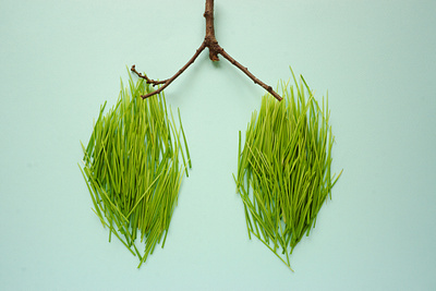 The green grass is laid out in the form of human lungs typography