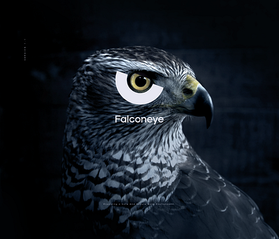 Falconeye - Strategic Visual Identity design 3d brand design branding branding design design eye falcon graphic design illustration illustrator logo vector