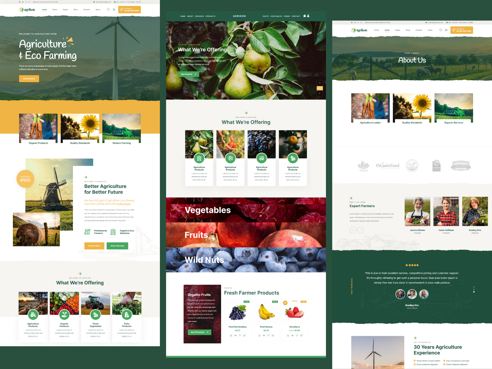 Example of Word Press Woo Commerce Theme Building