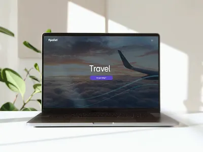 Flywallet Website 3d animation app branding design graphic design icon illustration logo motion graphics ui