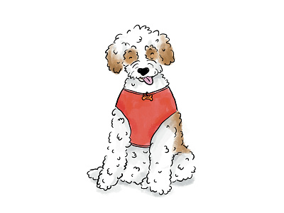 Therapy Dog animals cincinnati cincinnati magazine cute dog dogs doodle illustration labradoodle magazine procreate schools service animal service dog therapy dog