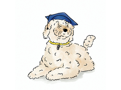 Therapy Dog cincinnati cincinnati magazine cute dog dogs illustration labradoodle magazine procreate service animal service dog therapy dog