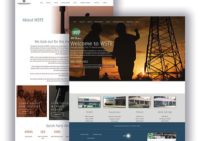 WST Electric Web Design design electric company graphic design illustration modern modern web design ui web design web layout website