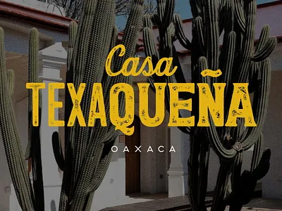 🤠 🤠 🤠 branding graphic design logo logotype texture typography