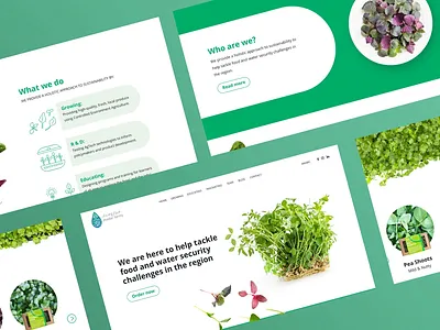 Madar Farms Landing Page design templatedesign ui ui design web website