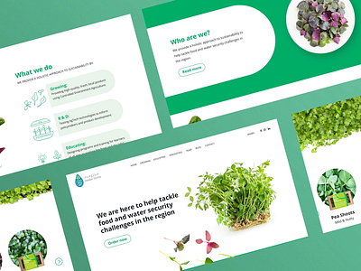 Madar Farms Landing Page design templatedesign ui ui design web website