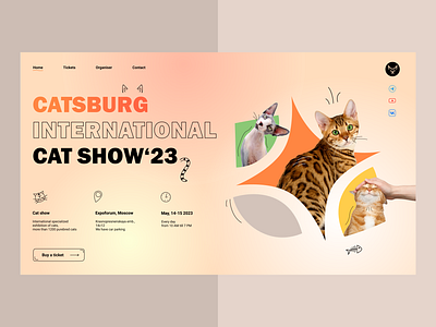 Cat's show first screen web site cat desctop design first screen illustration pet show sphynx ui web design web site