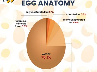 social media post branding design graphic design icon illustration logo typography vector