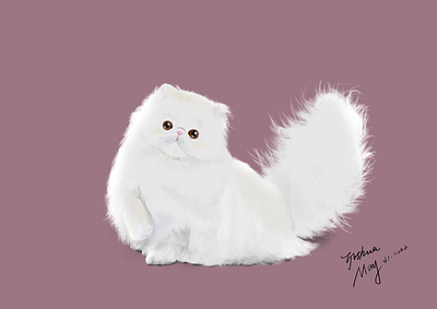 CAT animal cat illustration impasto practice photoshops