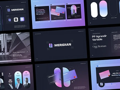 Meridian Brand Identity brand identity brand sign branding business design halo halo lab identity logo logo design logotype marketing packaging smm startup