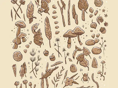 Little Things in Nature cute flower illustration leaves moth mushroom nature pastel stones
