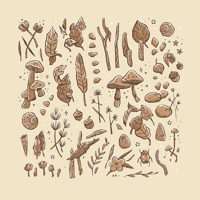 Little Things in Nature cute flower illustration leaves moth mushroom nature pastel stones
