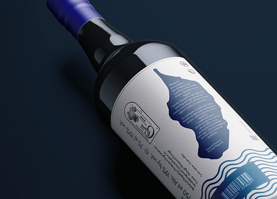 Madeira Wine - modern, funny label proposal beverage branding design graphic design illustration infografia infographic label logo madeira madeira island packaging portugal portuguese rebranding typography wine