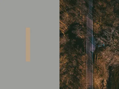 Alfredo Correia Brand Identity brand identity identity logo design logotype nature photography stationery typography visual identity wood